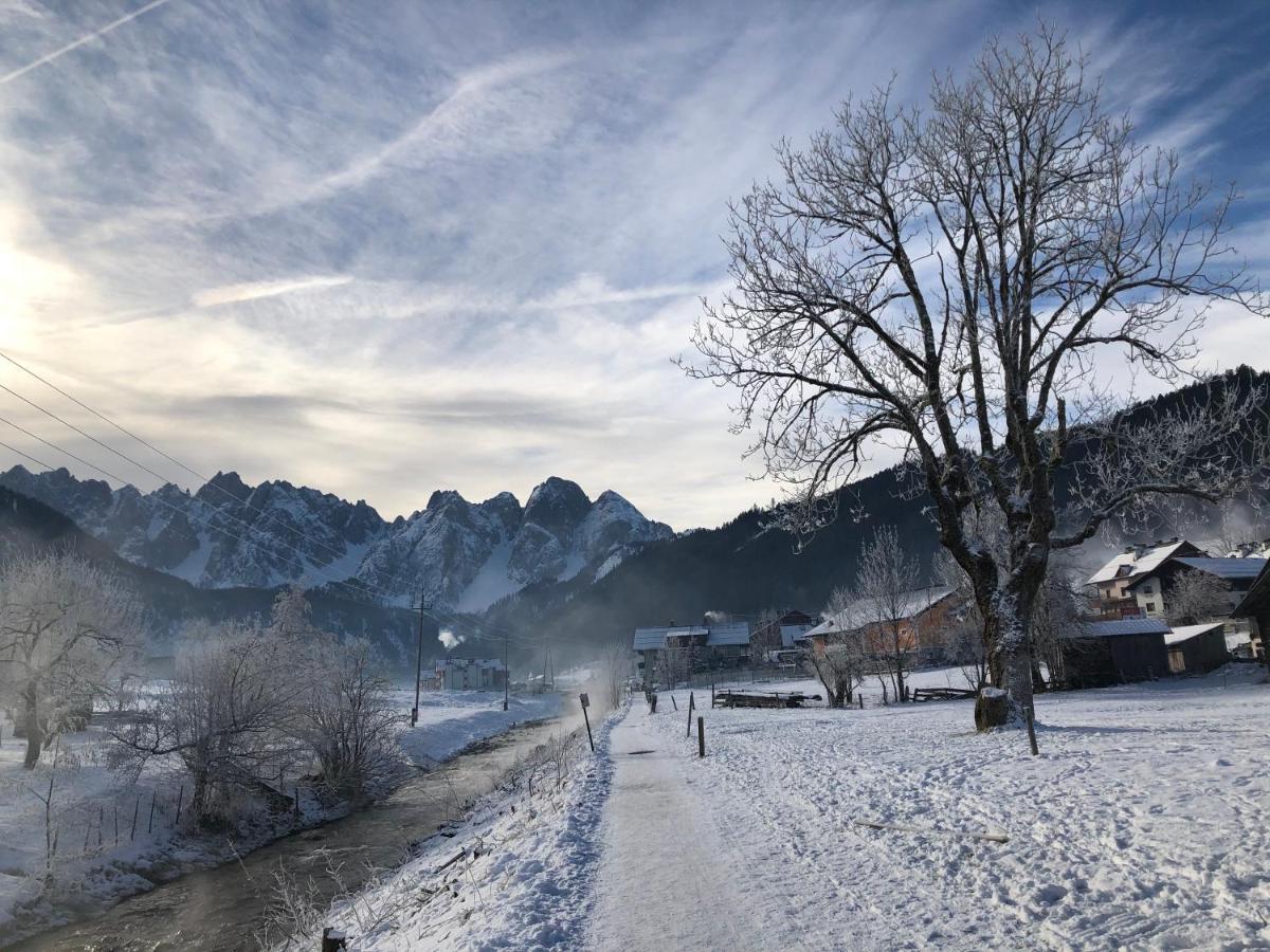 Dachstein Mountainview Gosau Apartment Exterior photo