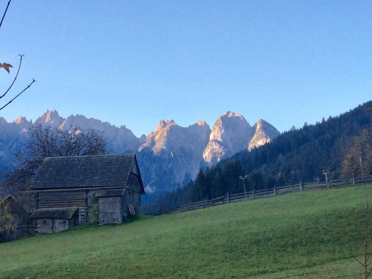 Dachstein Mountainview Gosau Apartment Exterior photo